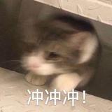 NeilJW头像