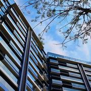 懵懵兔的个人资料头像