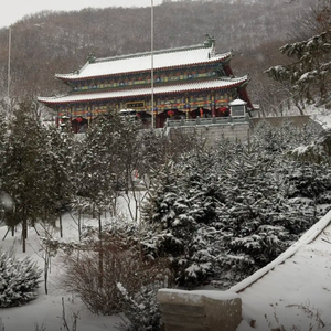 阳春白雪头像