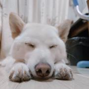 EU想搞钱的个人资料头像