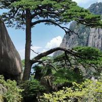 hello图大图头像