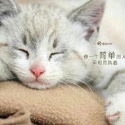 Y12345678的个人资料头像