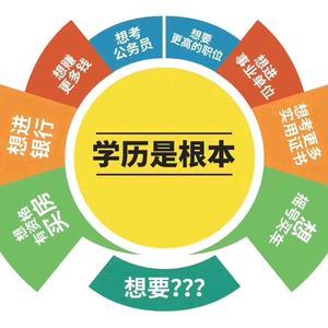 山东成考报名头像
