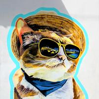 攒钱买03呀头像