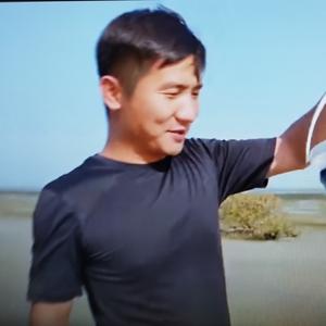 ok哥探海头像