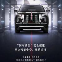 卖红旗的老王头像