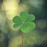 快乐每一天71505头像