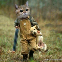 只想玩个探索头像