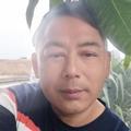 爰了散了头像