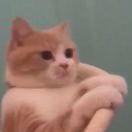 三个夏天的个人资料头像