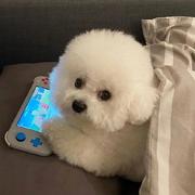 叁萬的个人资料头像