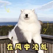 快到碗里来_333的个人资料头像