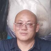 江南海豹头像