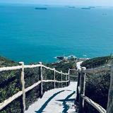 观山海881头像