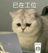 摸猫的鱼的个人资料头像