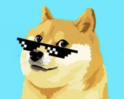 您无权限查看的个人资料头像