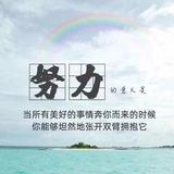 乐天派鹿泉5N2头像