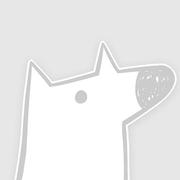 阿拉凡的个人资料头像