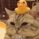 蒋小洋同学 · 轩逸车主·车龄3年头像