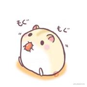 花殇的个人资料头像