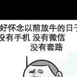 博学惢碎了兂痕头像