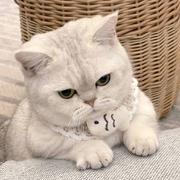 MIKASA的个人资料头像