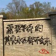 ynmldwsp的个人资料头像