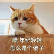 不装了_我摊牌了的个人资料头像