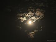 lingqiong的个人资料头像