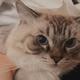 薛定谔的猫丶3 · 博越L车主·车龄1年头像