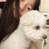 Lzy羊羊头像