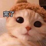 聪慧孔雀SuN头像