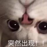 远方19792头像