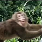 张狂的青春的个人资料头像