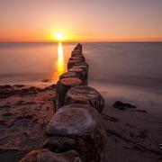 REsab的个人资料头像