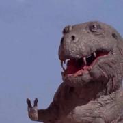 小郭有点懒i的个人资料头像