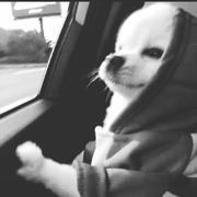 林枫_的个人资料头像