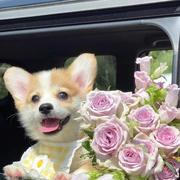 此刻韶华的个人资料头像