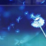 zl625的个人资料头像