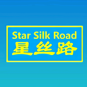 星丝路国际头像