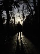 努力的码农小顾的个人资料头像