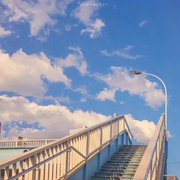 妈妈说取很长的名字会有傻子跟着念的个人资料头像