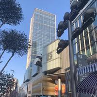元气女车主头像