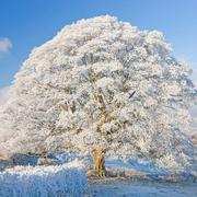 Nathan148的个人资料头像