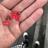 时光iii忆头像