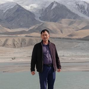 杨纯头像