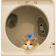 肥猫的田野的个人资料头像