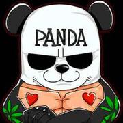 痞子菜的个人资料头像