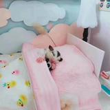 独自等待4287头像