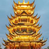 悠悠1287头像
